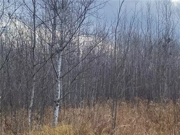 Catawba, WI 54515,Near Timber Road