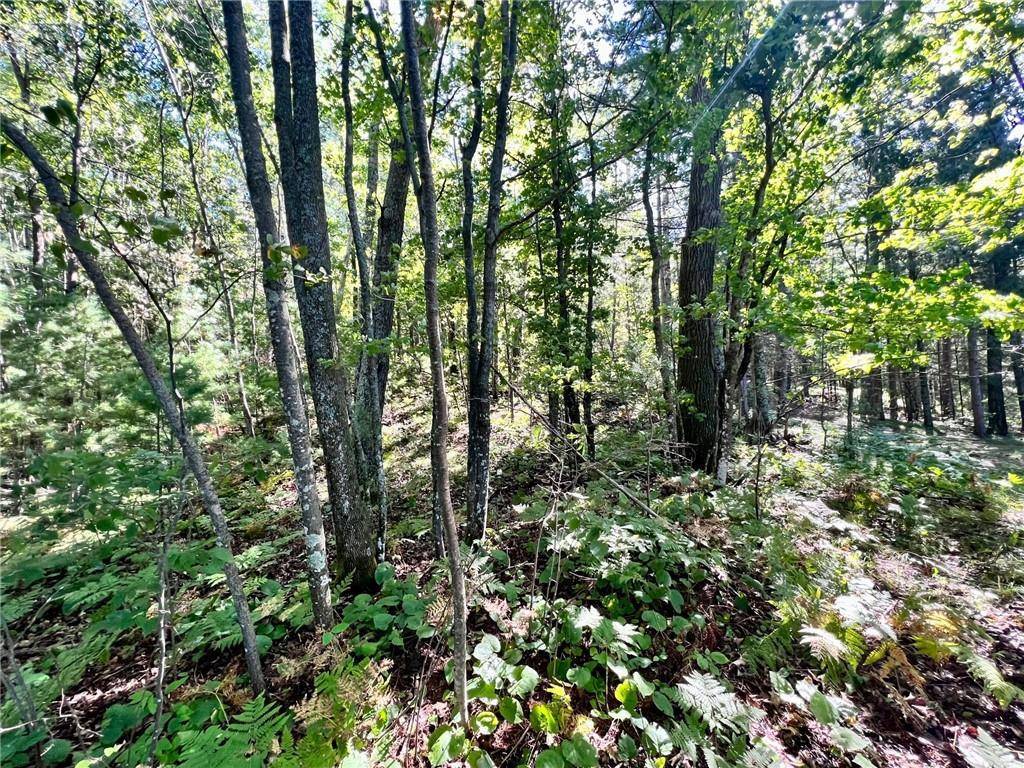 Hayward, WI 54843,0 County Hwy E