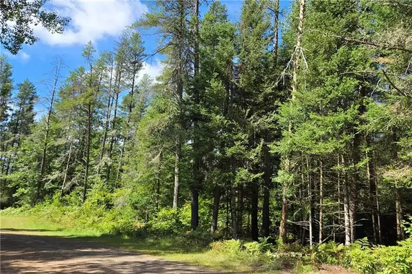 Lot 86 Oak Court, Cable, WI 54821