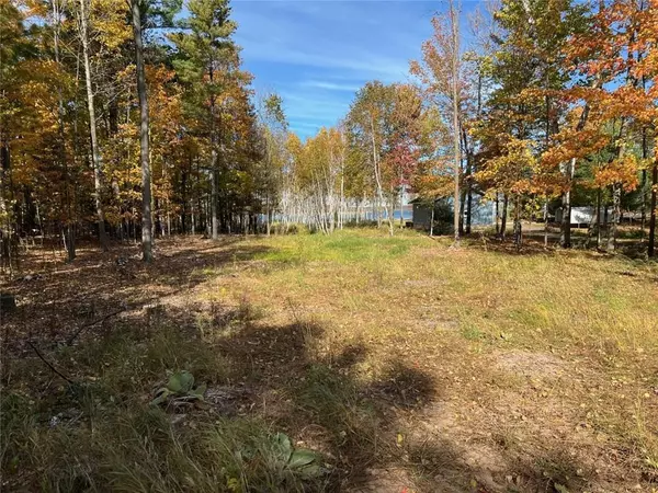 0 South Lake Drive, Shell Lake, WI 54871