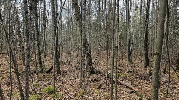 Couderay, WI 54828,Lot 2 Delap Lane