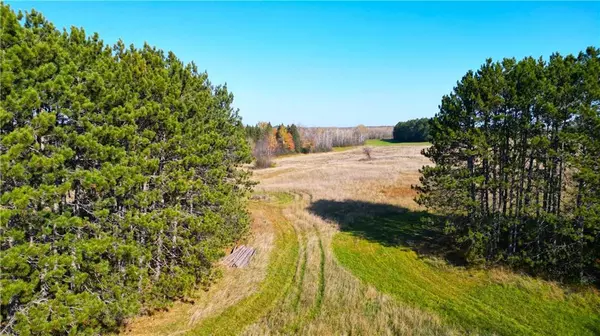 Ladysmith, WI 54848,60 Acres CTH G