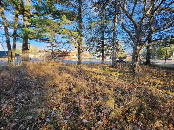 Lot 4 & 5 Main St Street, Birchwood, WI 54817