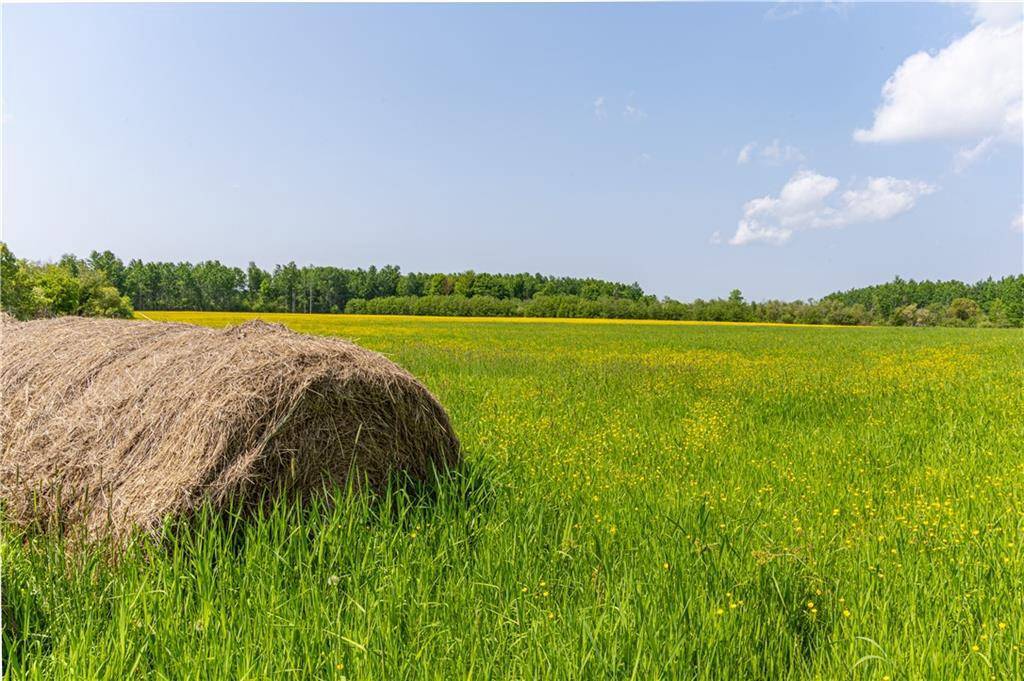 Glen Flora, WI 54526,60 Acres Thatcher Road