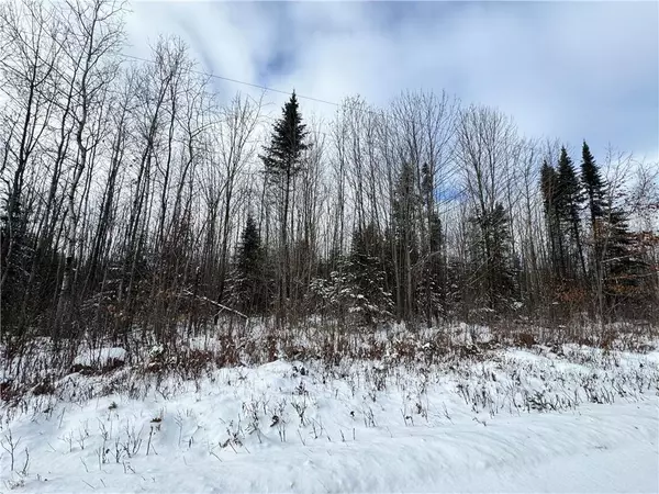 Loretta, WI 54896,Lot 3 Uncle Toms Road