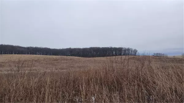 Bloomer, WI 54724,42 Acres 82nd St