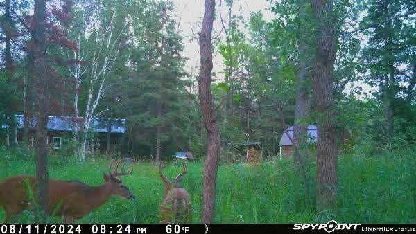 Maple, WI 54873,2597 County Road O