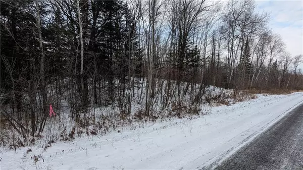 Lot 0 County Hwy W, Winter, WI 54896