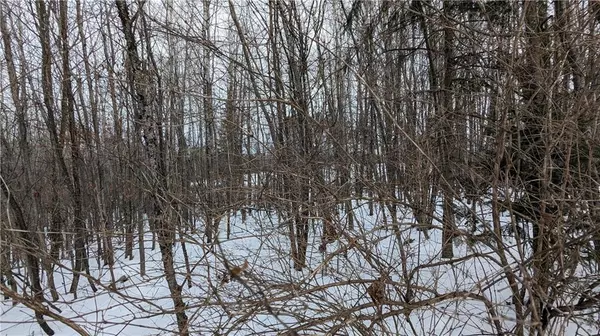 Winter, WI 54896,Lot 0 County Hwy W