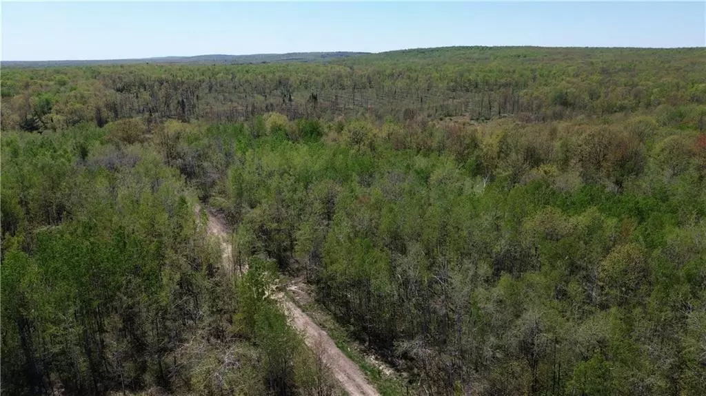 0000 County Road H, Bruce, WI 54819