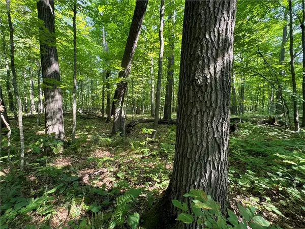 3088 110th Avenue, Frederic, WI 54837