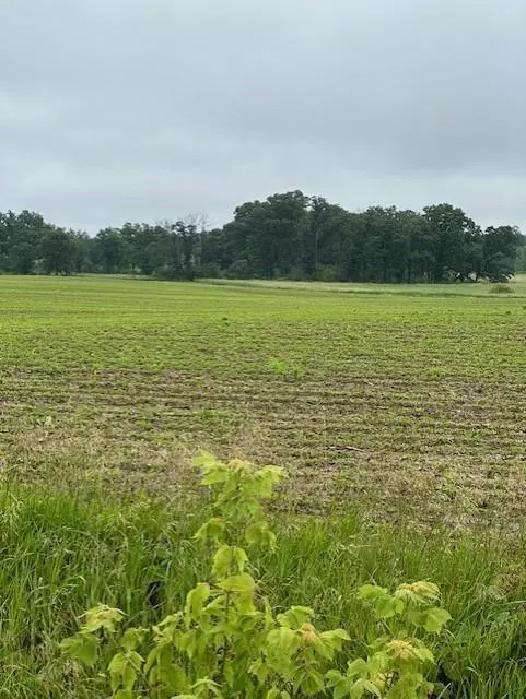 Eleva, WI 54738,00 County Road F