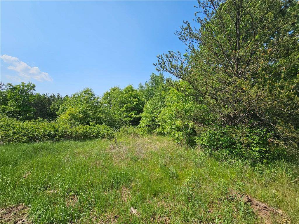 Shell Lake, WI 54871,000 Williams Road