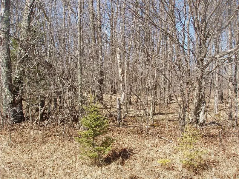 Lot 14 4th Add. Margaret Lane, Park Falls, WI 54552