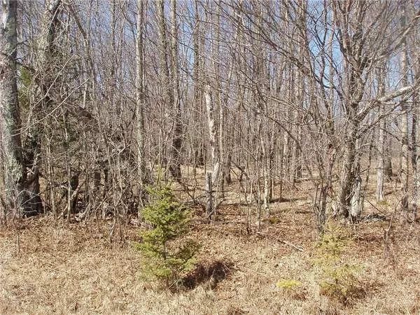 Lot 14 4th Add. Margaret Lane, Park Falls, WI 54552