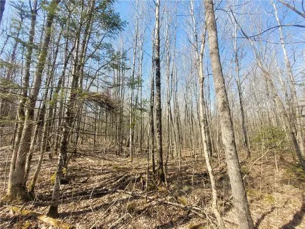 Loretta, WI 54896,ON Cemetery Road