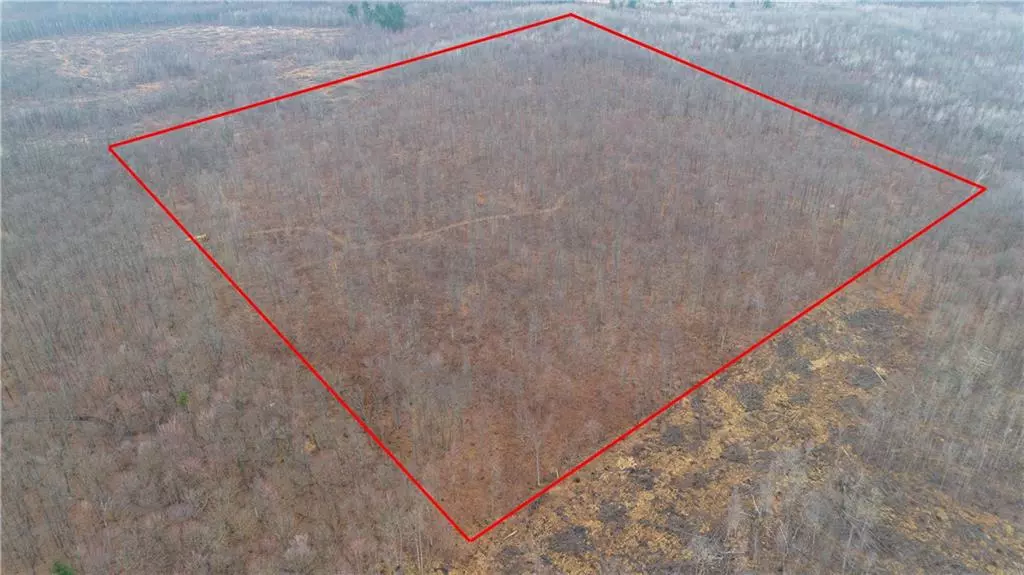 40 Acres Dickerson Avenue, Thorp, WI 54771