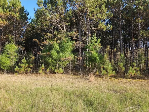 Colfax, WI 54730,0 990th Avenue