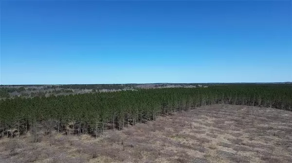 N/A Tomahawk Lake Road, Barnes, WI 54873