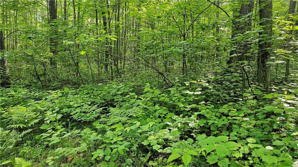 Hayward, WI 54843,Lots 9-16, 33-40 Indian Drive