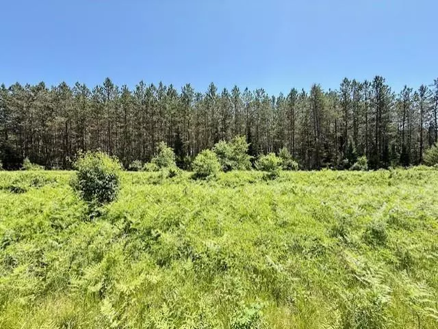 Lot 60 Brook Lane, Hayward, WI 54843