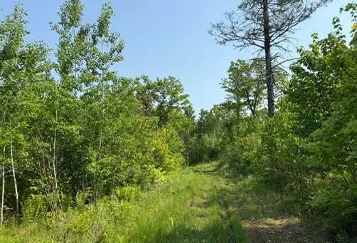 TBD County Road T, Dairyland, WI 54830