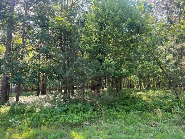 Danbury, WI 54830,Lot 31 Great Bear Passage