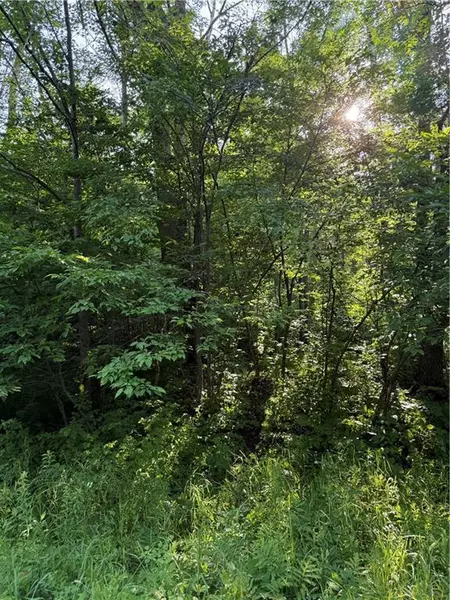 0 Mack Lake Road, Trego, WI 54888
