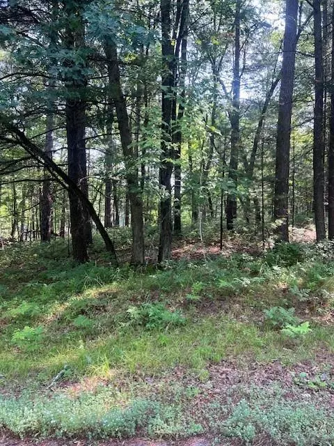 Danbury, WI 54830,Lot 91 Three Mile Road