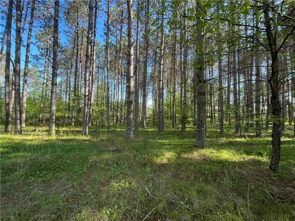 Lot 3 Murphy Boulevard, Hayward, WI 54843