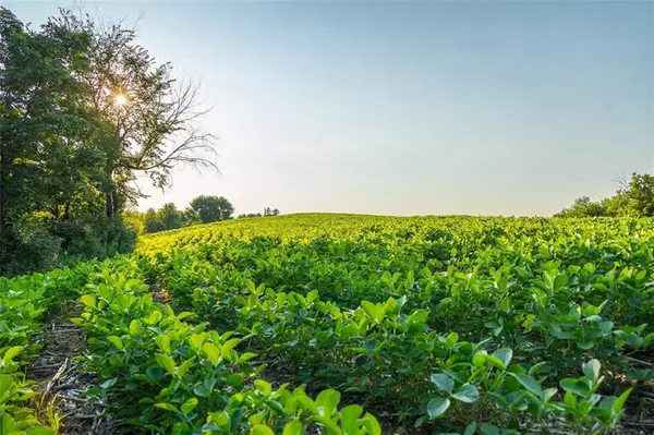 Blair, WI 54616,N34701 County Road S