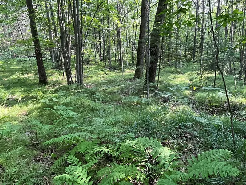 Lot 3 Falcon Ridge, Hayward, WI 54843