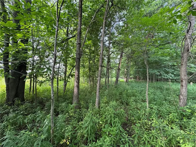 2541 County Rd D, Boyd, WI 54726