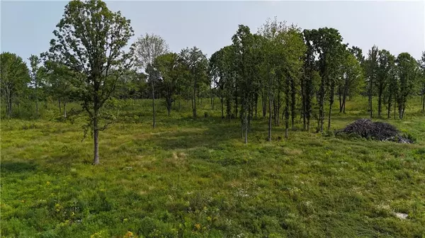 Holcombe, WI 54745,19 acres (+/-) County Highway G