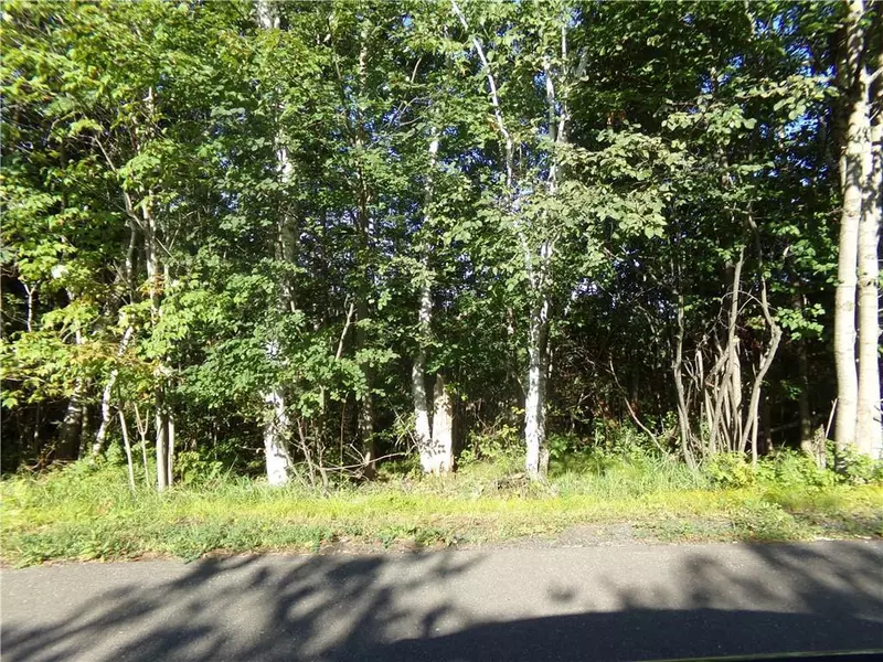 7581 S Marsik Lot 4 Road, Lake Nebagamon, WI 54849