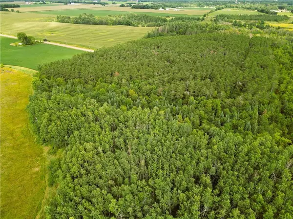 Bruce, WI 54819,34 Acres on Nachtwey Road