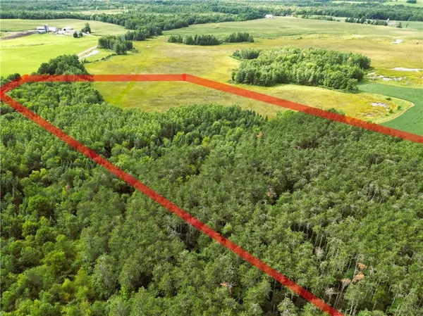 Bruce, WI 54819,34 Acres on Nachtwey Road