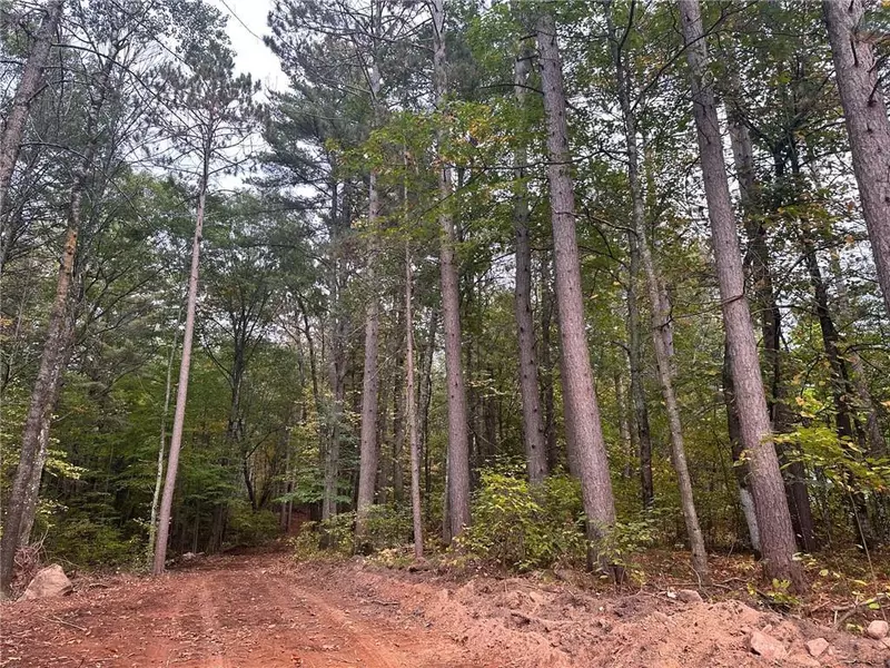 Lot 1 Sabin Road, Hayward, WI 54843