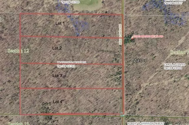 Lot 1 Mason Delta Rd, Delta, WI 54856