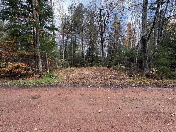 Merrill, WI 54452,000 Mountain View Lane