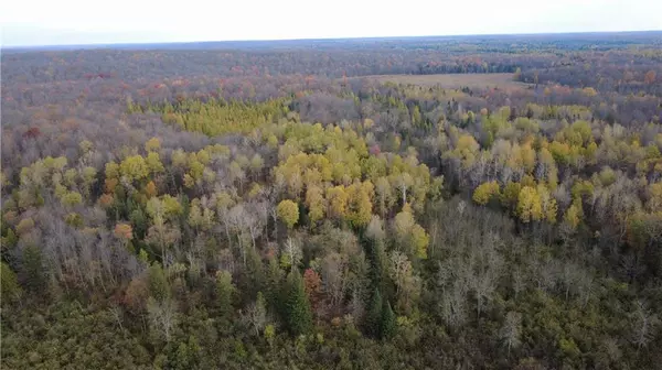 Merrill, WI 54452,000 Mountain View Lane