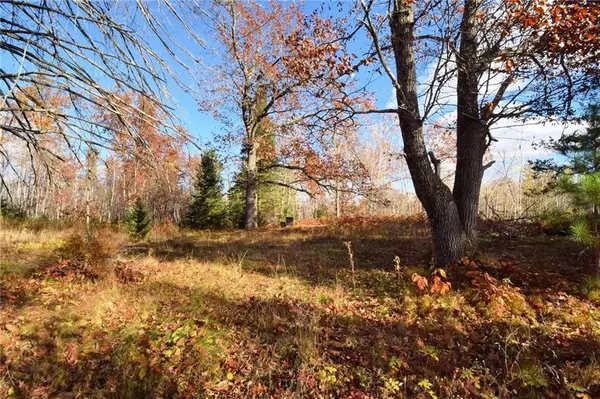 34160 McGraw Lake Road, Danbury, WI 54830