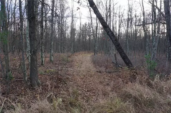 Nekoosa, WI 54457,000 Birch Ln