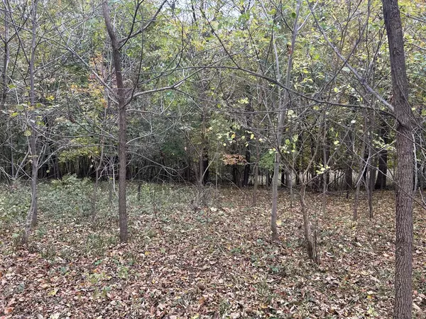 De Soto, WI 54624,Lot 6 GRANDVIEW DRIVE