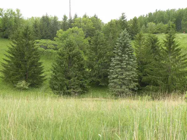 Ripon, WI 54971,250 Moraine Drive