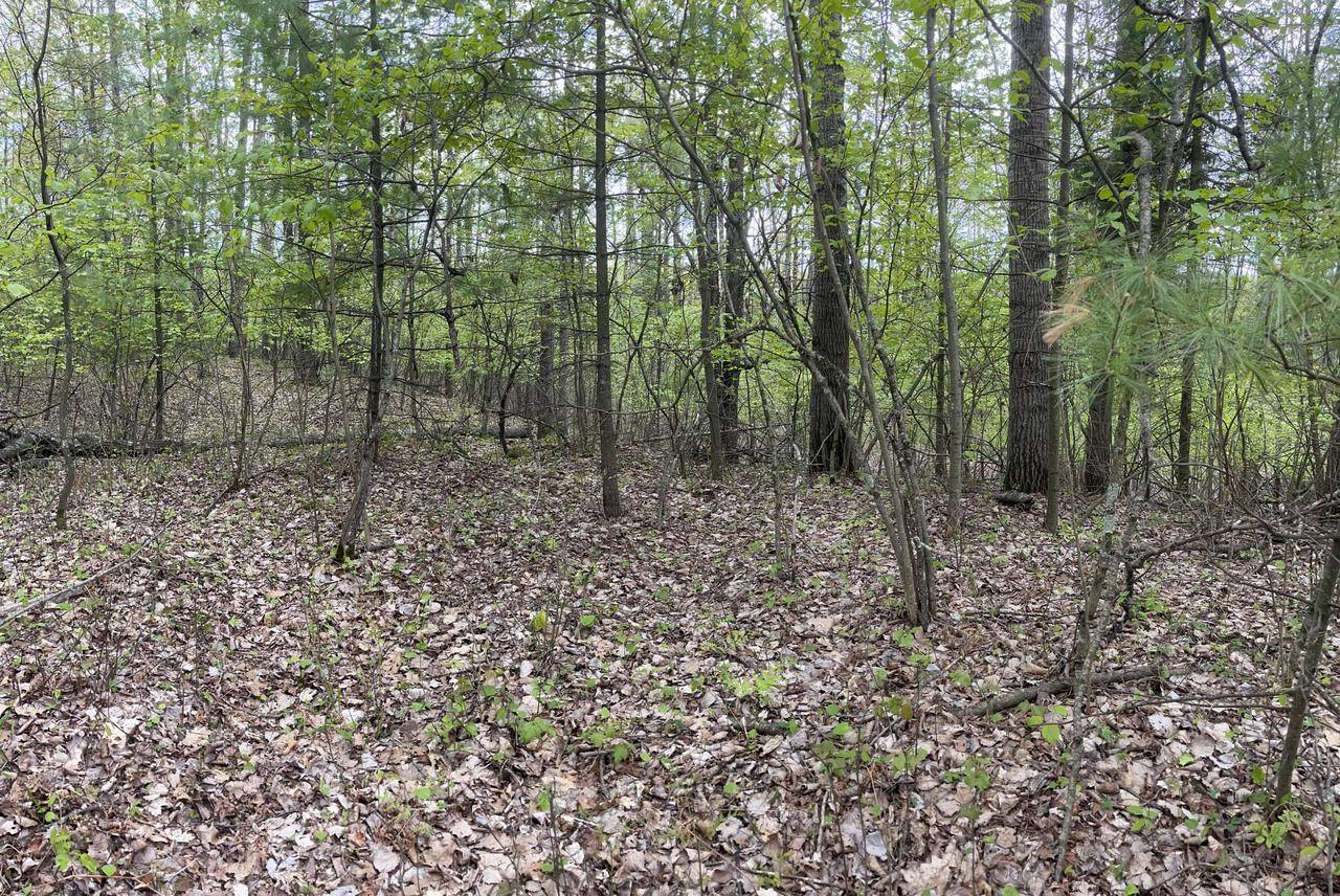 Wausaukee, WI 54177,Lt43 MENOMINEE WOODS DRIVE