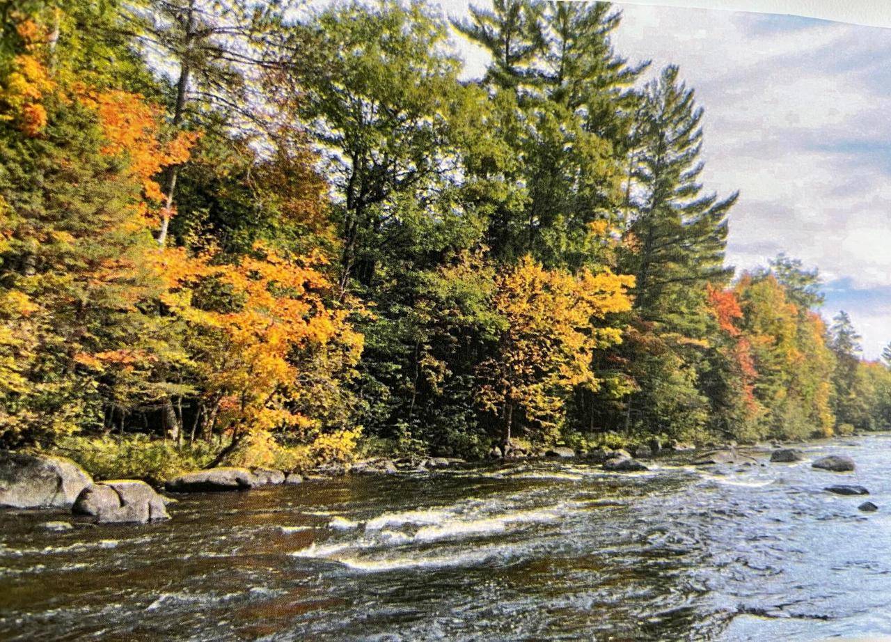 Lt8 UPPER ROARING RAPIDS LANE, Silver Cliff, WI 54104