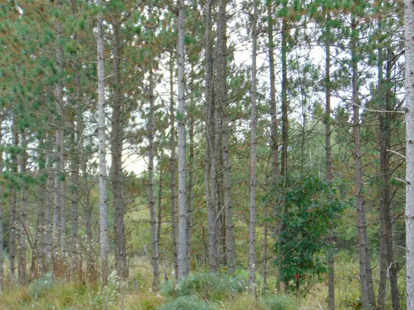 Friendship, WI 53934,1730 9TH AVENUE