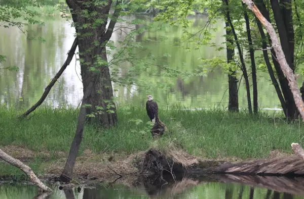 La Crosse, WI 54601,2956 Marion ROAD S