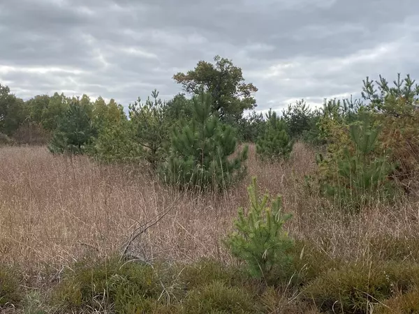 Lt0 SMILEY ROAD, Athelstane, WI 54104